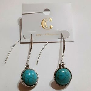 Turquoise fashion Earnings